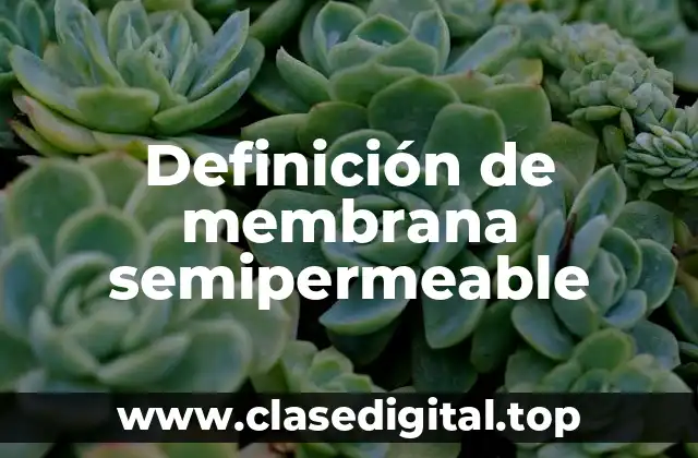 Ejemplos de membranas semipermeables