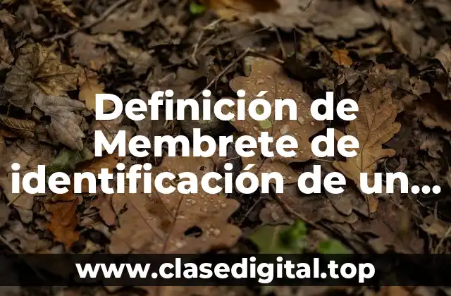 Definición de Membrete de identificación de un paciente