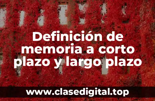 Definición técnica de memoria a corto plazo y largo plazo