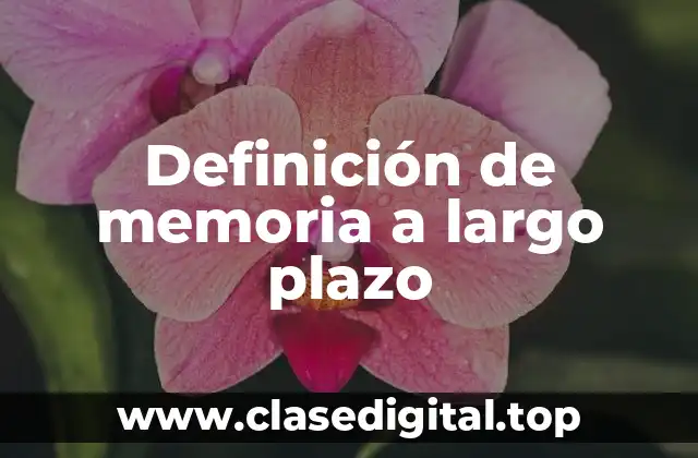 Ejemplos de memoria a largo plazo