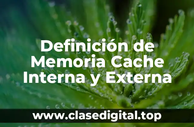 Definición de Memoria Cache Interna y Externa