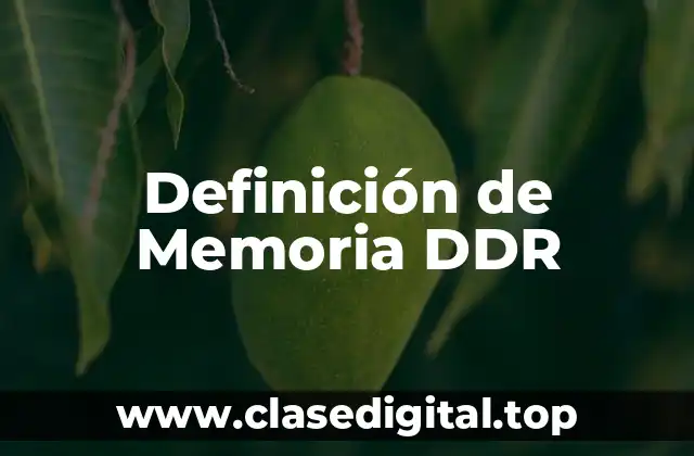 Definición de Memoria DDR