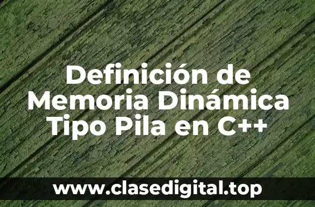 Definición de Memoria Dinámica Tipo Pila en C++