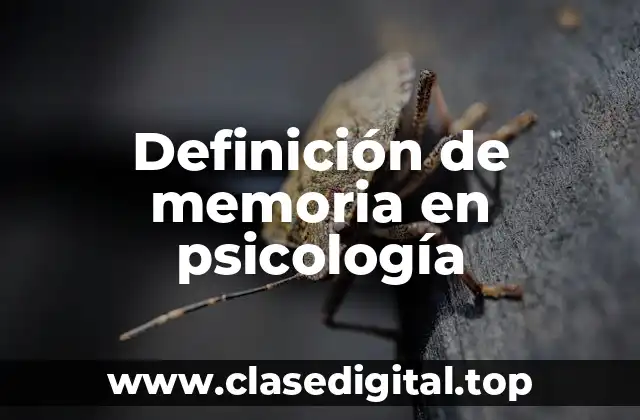 Definición de memoria en psicología