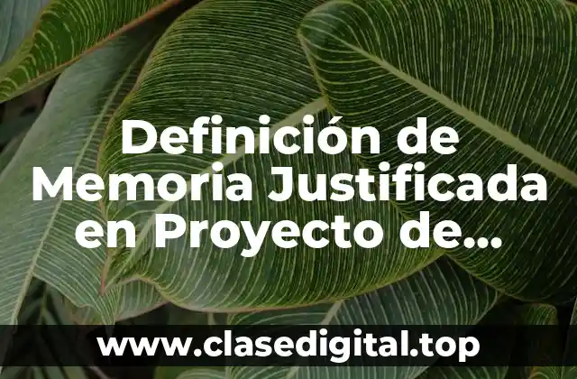 Definición Técnica de Memoria Justificada en Proyecto de Carreteras