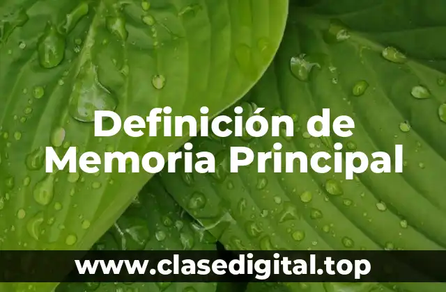 Definición de Memoria Principal