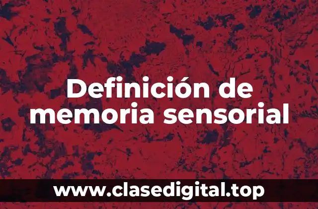 Ejemplos de memoria sensorial