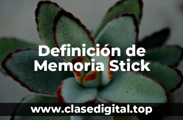 Definición de Memoria Stick