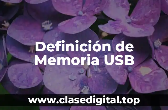 Ejemplos de Memoria USB