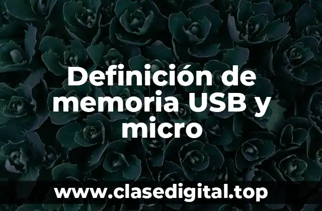 Definición de memoria USB y micro