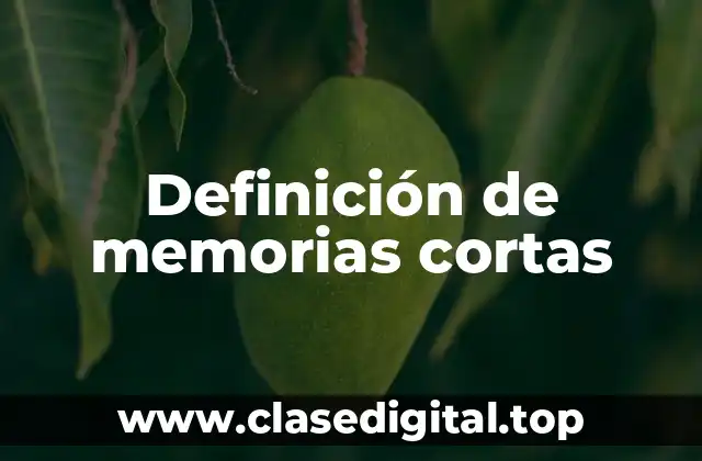 Definición de memorias cortas