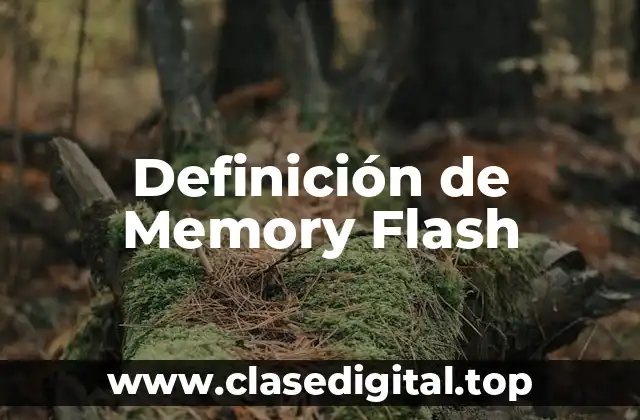 Definición de Memory Flash