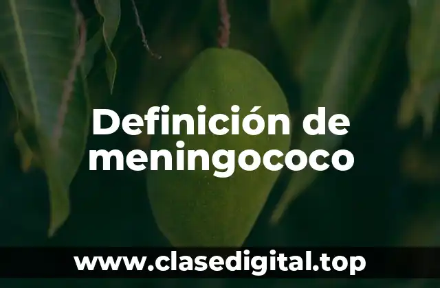 Definición de meningococo