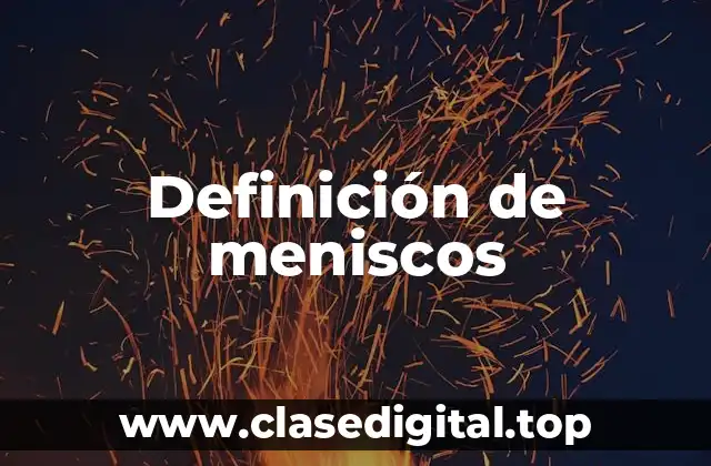 Definición técnica de meniscos