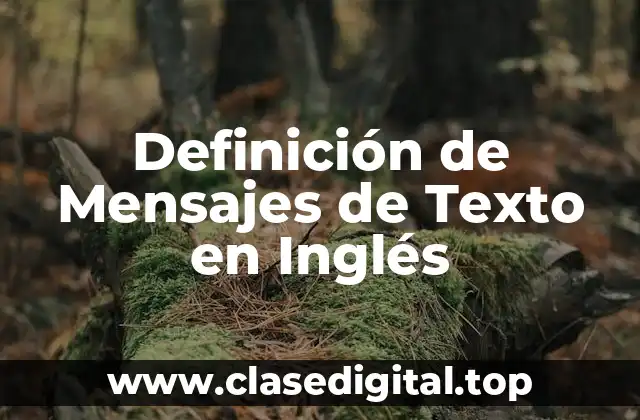 Definición de Mensajes de Texto en Inglés
