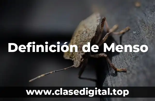 Definición de Menso