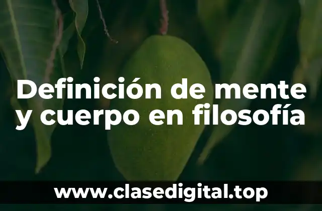 Definición de mente y cuerpo en filosofía