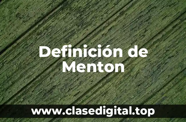 Definición de Menton