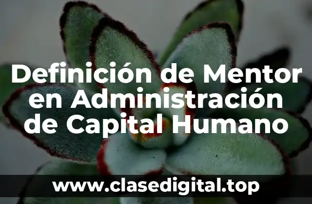 Definición de Mentor en Administración de Capital Humano