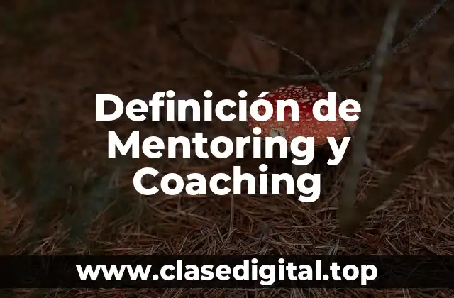 Definición de Mentoring y Coaching