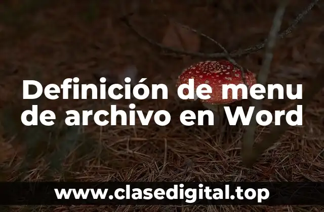 Definición de menu de archivo en Word
