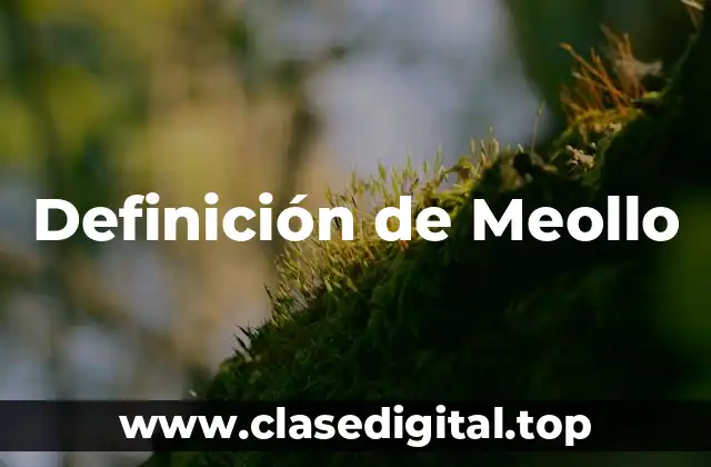 Definición de Meollo