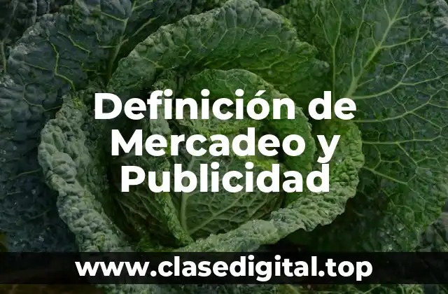 Definición de Mercadeo y Publicidad