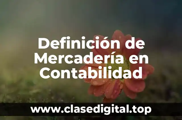 Definición de Mercadería en Contabilidad