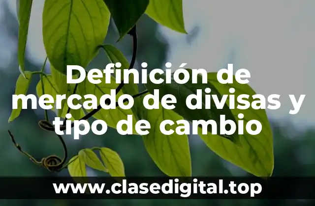 Definición de mercado de divisas y tipo de cambio