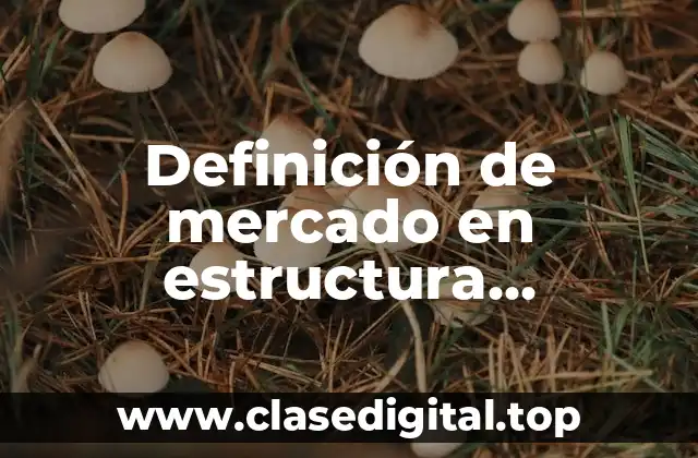 Definición de mercado en estructura socioeconómica de México