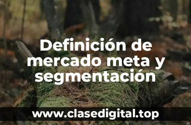 Definición de mercado meta y segmentación