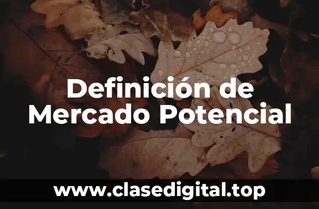 Definición de Mercado Potencial