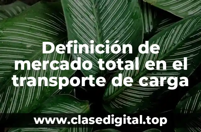 Definición de mercado total en el transporte de carga