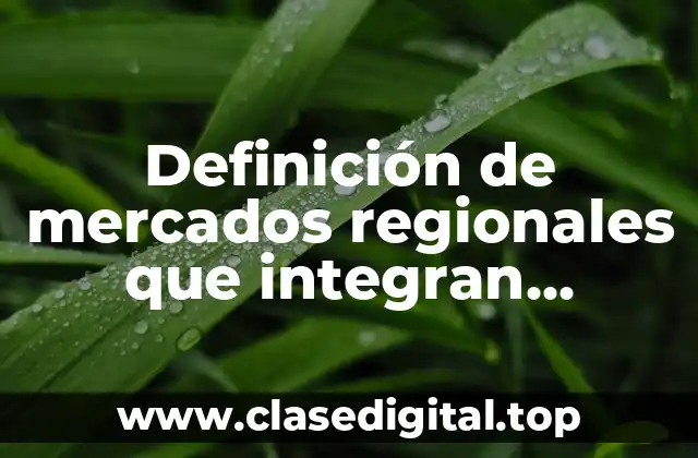 Definición de mercados regionales que integran economías de distintos países