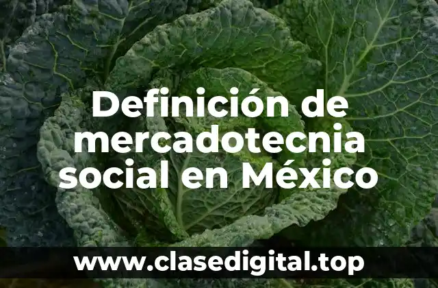 Definición de mercadotecnia social en México