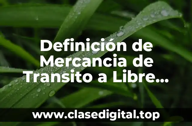 Definición de Mercancia de Transito a Libre Aborro Comprador