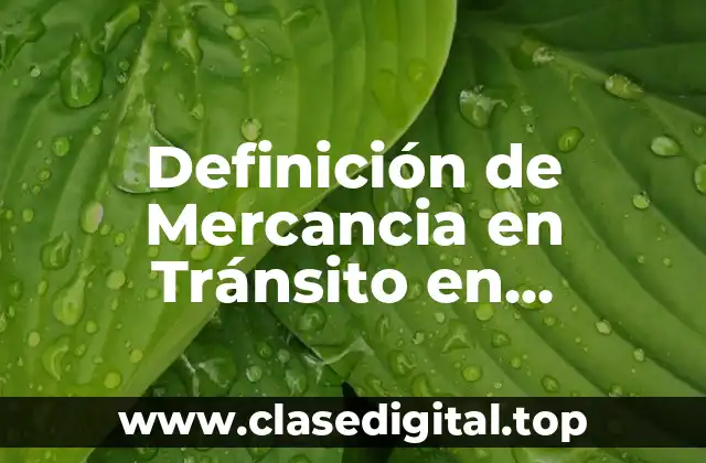 Definición de Mercancia en Tránsito en Contabilidad