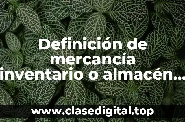 Definición de mercancía inventario o almacén en contabilidad