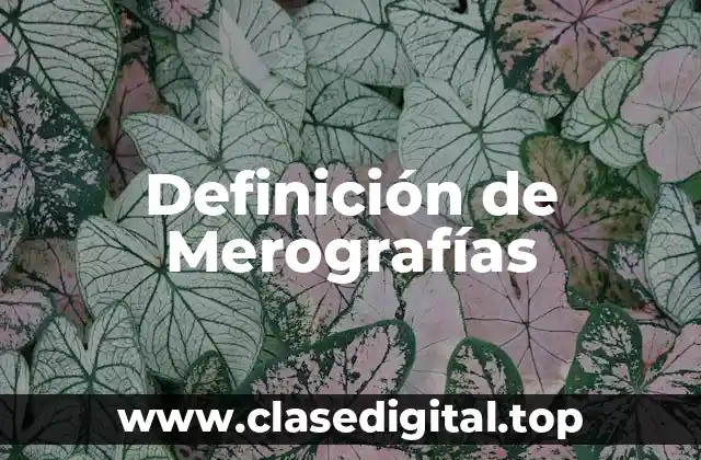 Ejemplos de Merografías