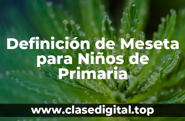 Definición de Meseta para Niños de Primaria