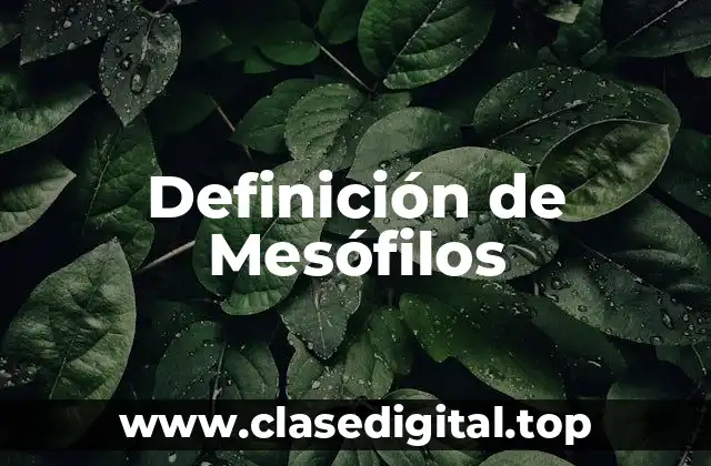 Definición de Mesófilos