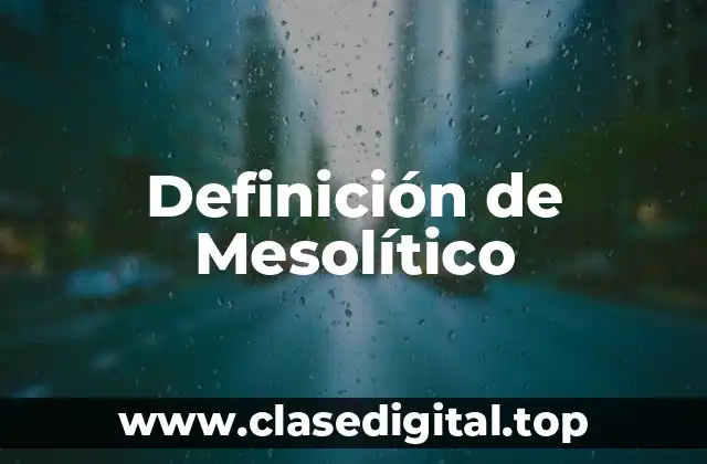 Definición de Mesolítico