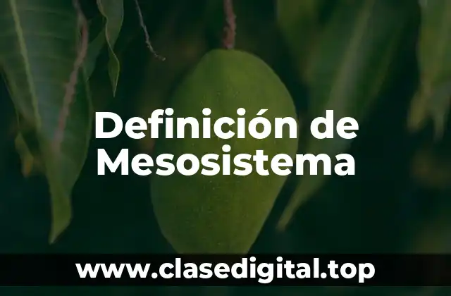 Definición de Mesosistema