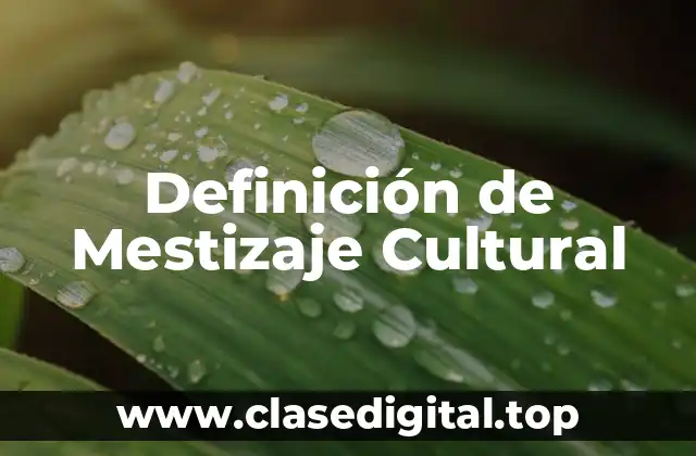 Definición de Mestizaje Cultural