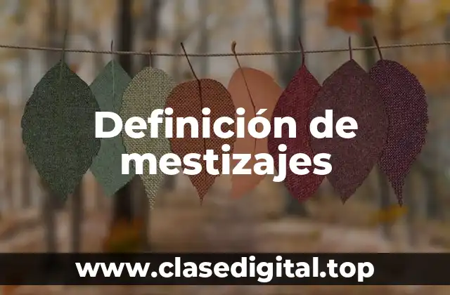 Definición de mestizajes