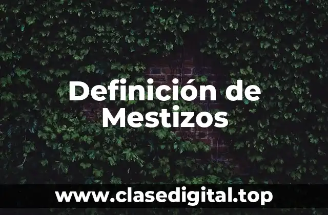 Definición de Mestizos