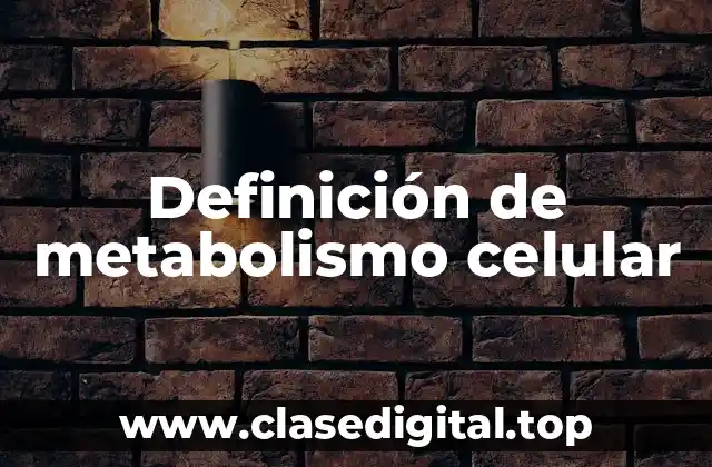 Ejemplos de metabolismo celular