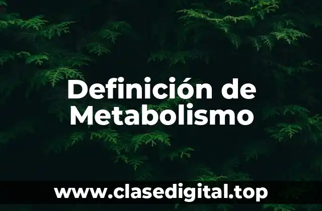 Definición Técnica de Metabolismo