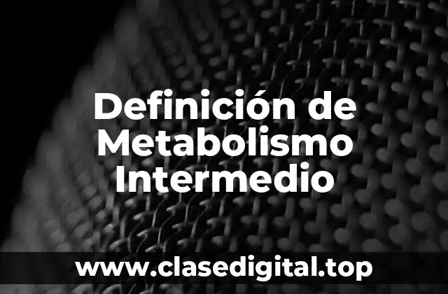 Definición de Metabolismo Intermedio