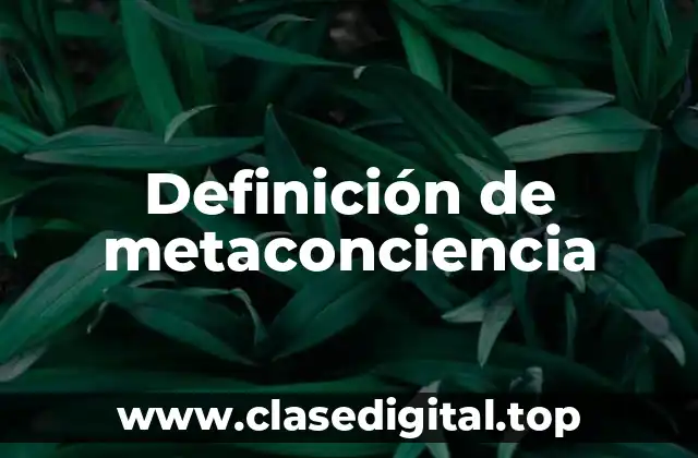 Definición de metaconciencia